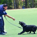 K-9 units show off skills at career fair