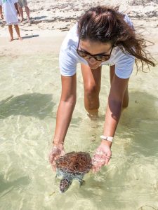 Yaremis Hydes releases a yearling turtle.