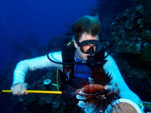 CCMI education manager Tom Sparke captures a lionfish off Little Cayman.