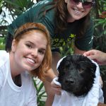 Spa day for Bodden Town pups