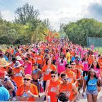 Braccanal weekend lights up the Brac
