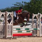 Cayman hosts international show jumping competition