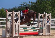 Cayman hosts international show jumping competition