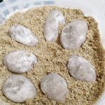 Blue iguanas getting ready to hatch