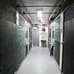 128 people apply for 7 prison jobs