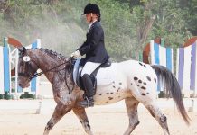 Cayman dressage team ready for challenge