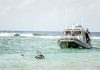 Swimmer found dead near Spotts Dock