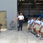 New RCIPS drug dogs to arrive this month