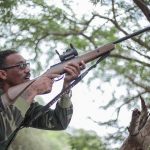 Cayman’s great green iguana hunt
