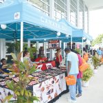 Island Living Show 2016