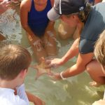 Students: Don’t lift starfish out of water