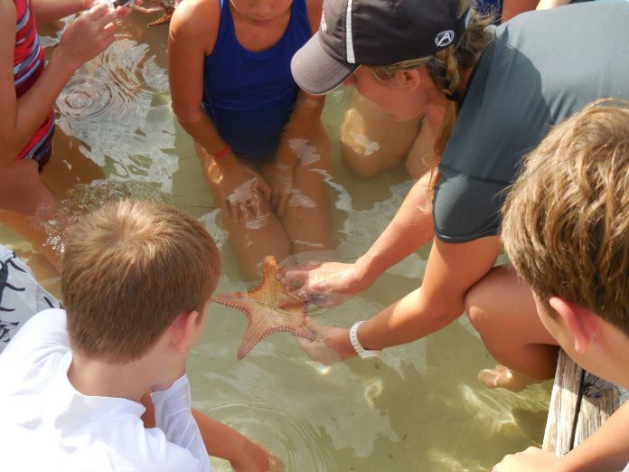 Science-teacher-Mariska-De-Klerk-explains-the-anatomy-of-the-starfish-to-surrounding-students-(Read-Only)