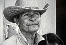 People Time Forgot: David Livingston Whittaker