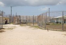 Cayman’s cure for criminal recidivism