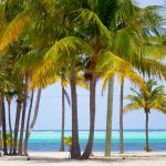 Cayman Islands could join Branson’s energy challenge