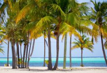 Cayman Islands could join Branson’s energy challenge