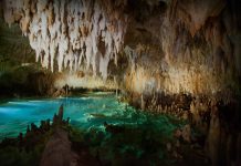 2 Cayman attractions make TripAdvisor Caribbean top 10 TripAdvisor