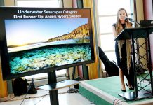 Cayman photographer presents to UN on World Oceans Day