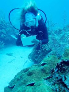 Central Caribbean Marine Institute researcher Katie Lohr collects data about coral reefs in Little Cayman. CCMI is hosting an international symposium in London this week in an effort to figure out how to save the world's coral reefs.