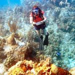 CCMI hosts coral reef symposium in London