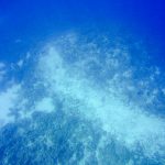 Panton: Loophole meant no prosecution for reef damage