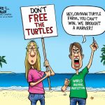 Don’t free the turtles