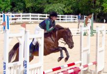 Jumping series ends on high note
