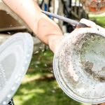 Thousands of genetically modified mosquitoes released