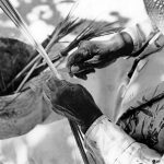 People that time forgot: The thatch workers