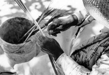People that time forgot: The thatch workers