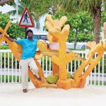 New artwork at Turtle Farm