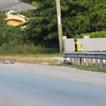 Immigration officer pleads guilty in deadly hit-and-run case