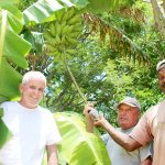 Farmer recalls early days of agriculture