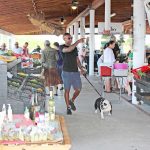 George Town farmers market keeps vendors busy six days a week