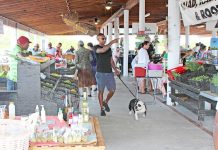 George Town farmers market keeps vendors busy six days a week