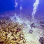 Volunteers complete reef recovery