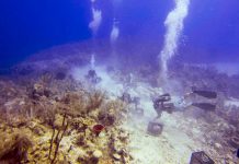 Volunteers complete reef recovery