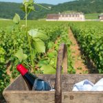 Alternatives to your three favorite white wines
