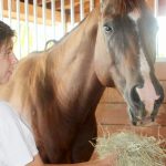 Horse lovers saddle up at Cowboy Town camp