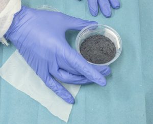 Genetically modified mosquito larvae