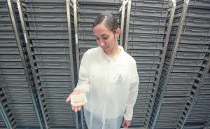 Hedia Groves, a 19-year-old who graduated from Cayman Prep and High School last year, is among the young Caymanians hired to assist in the project.