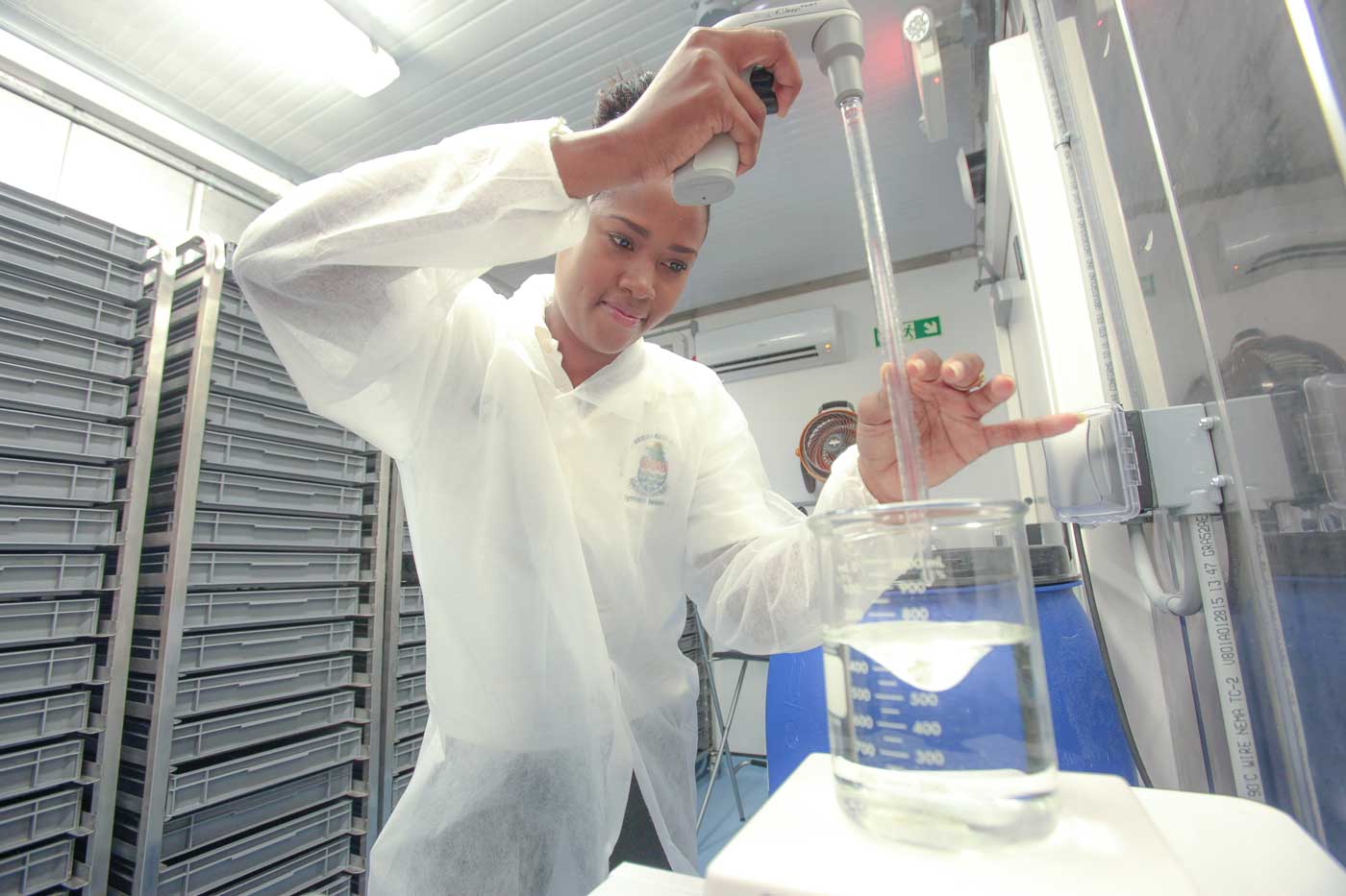 Giselle Johnson works inside the lab. She and her colleagues have learned about hatching and calculating the hatch rate of the mosquitoes. - PHOTOS: MATT LAMERS