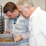 GM mosquitoes to be released next week