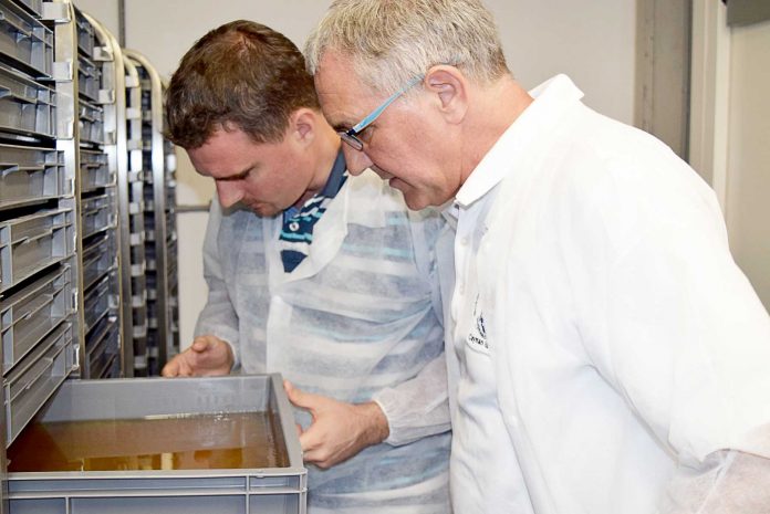 oxitec-lab1-(Read-Only)