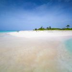 Dart to conserve Little Cayman forest Point of Sand on Little Cayman.