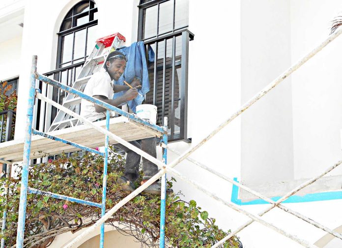 Turtle-nest-(Read-Only)
