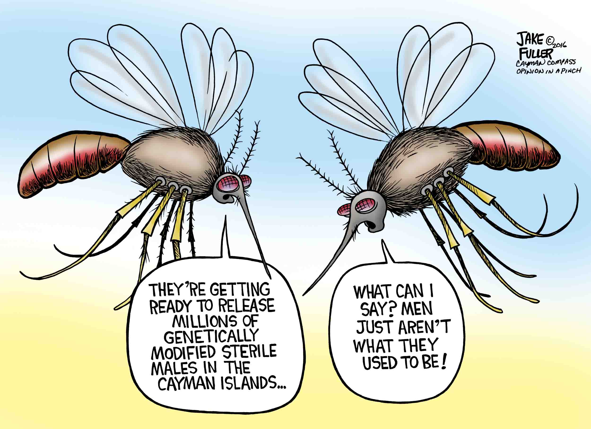 GM Mosquitoes Cayman Compass GM Mosquitoes Cayman Compass