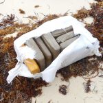 Police destroy 320 kilos of ganja