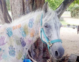 Charm was euthanized on Aug. 18.