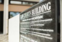 Man bailed on gun charge